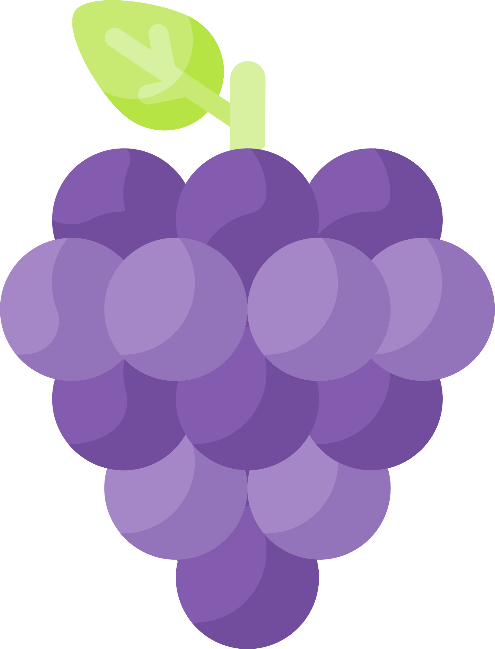 Viticulture