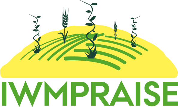 logo iwm praise