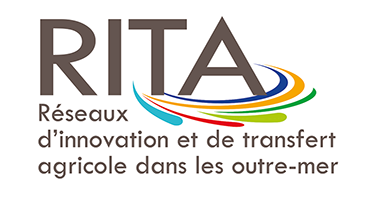 rita