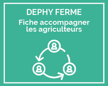 fiche accompagner