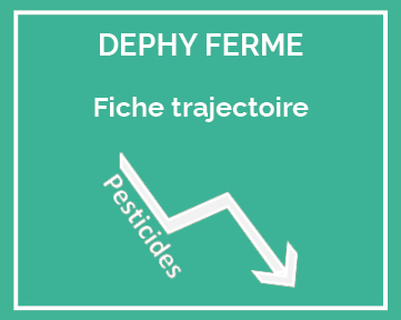 fiches trajectoire