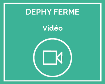 vidéo