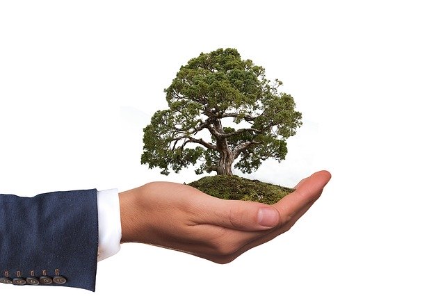 environnement