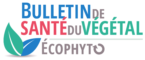 logo BSV