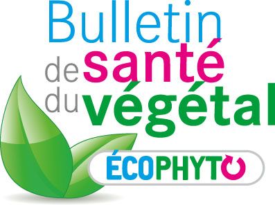 logo BSV