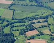 Favoriser la diversité des plantes avec des parcelles plus petites