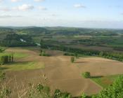 paysage grandes cultures