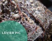 Favoriser les micro-organismes du sol : biotisation ou mycorhization