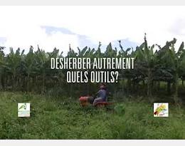 Désherber autrement en Guadeloupe, quels outils ?