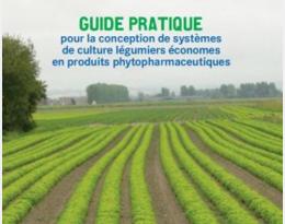 Guide ECOPHYTO Légumes - Conception de systèmes de culture légumiers économes en produits phytopharmaceutiques