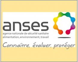 logo anses