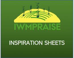 IWM PRAISE inspiration sheets