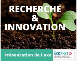 La recherche-innovation dans Ecophyto