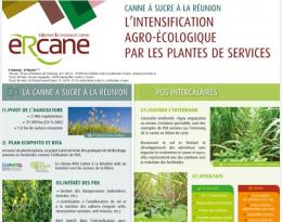 cas poster canecoh 1