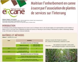 cas poster canecoh 2