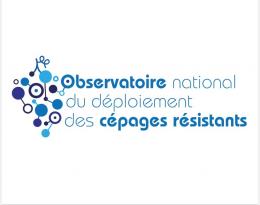 L'observatoire OsCar : observatoire national du déploiement des cépages résistants