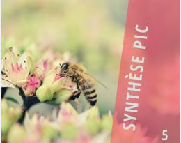 Synthèse pic