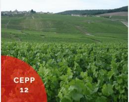 cepp 12