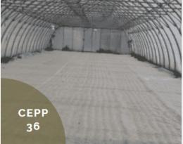 cepp 36