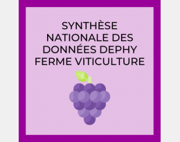 Synthèse DEPHY Viticulture - version courte